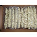 Wholesale Organic Peeled Garlic